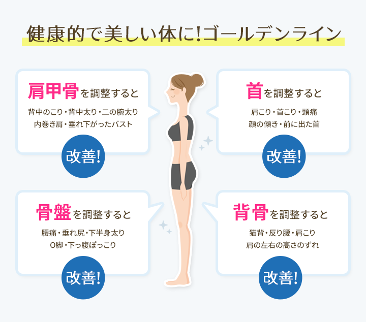 健康的で美しい体に!ゴールデンライン